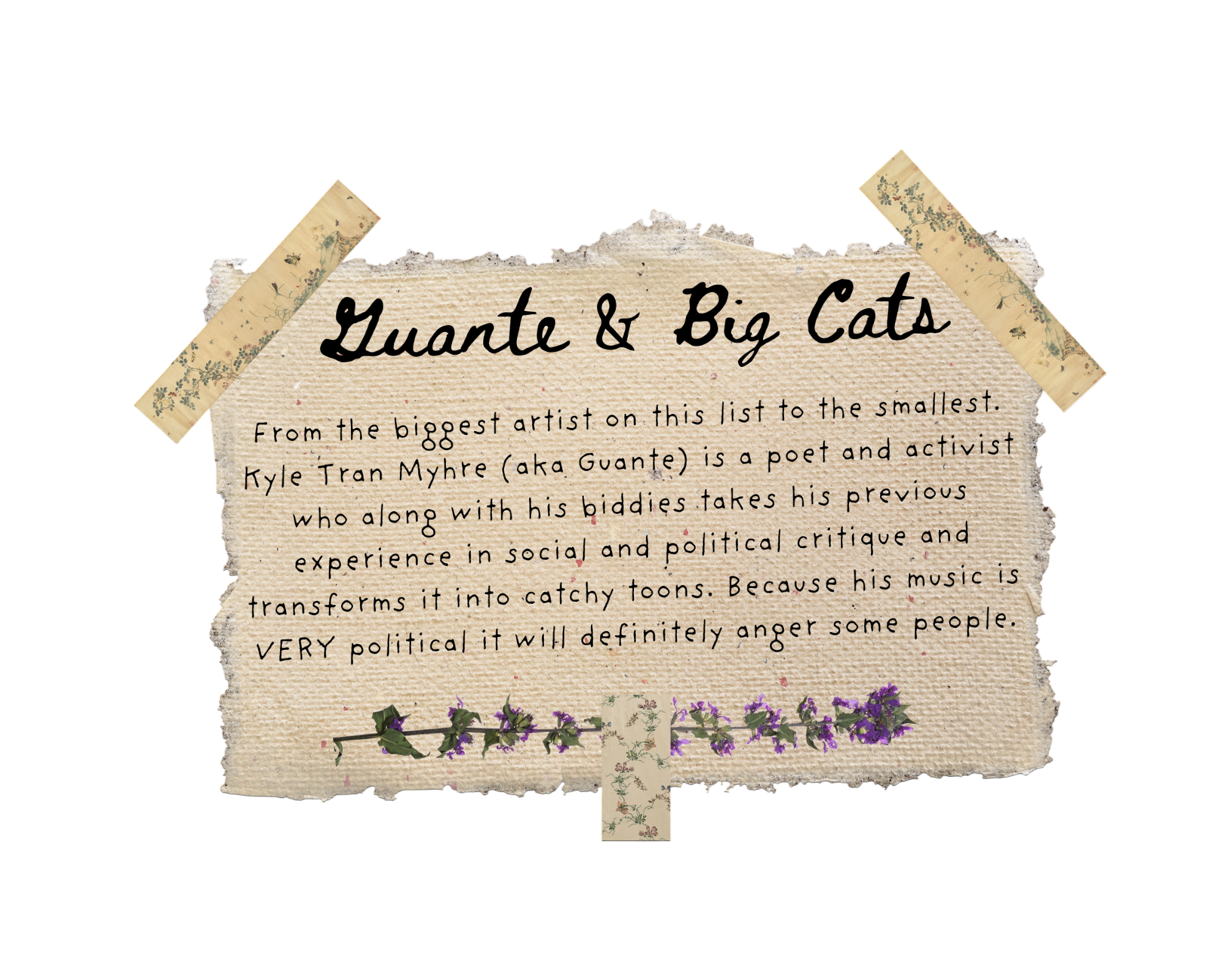 Guante & Big Cats Description