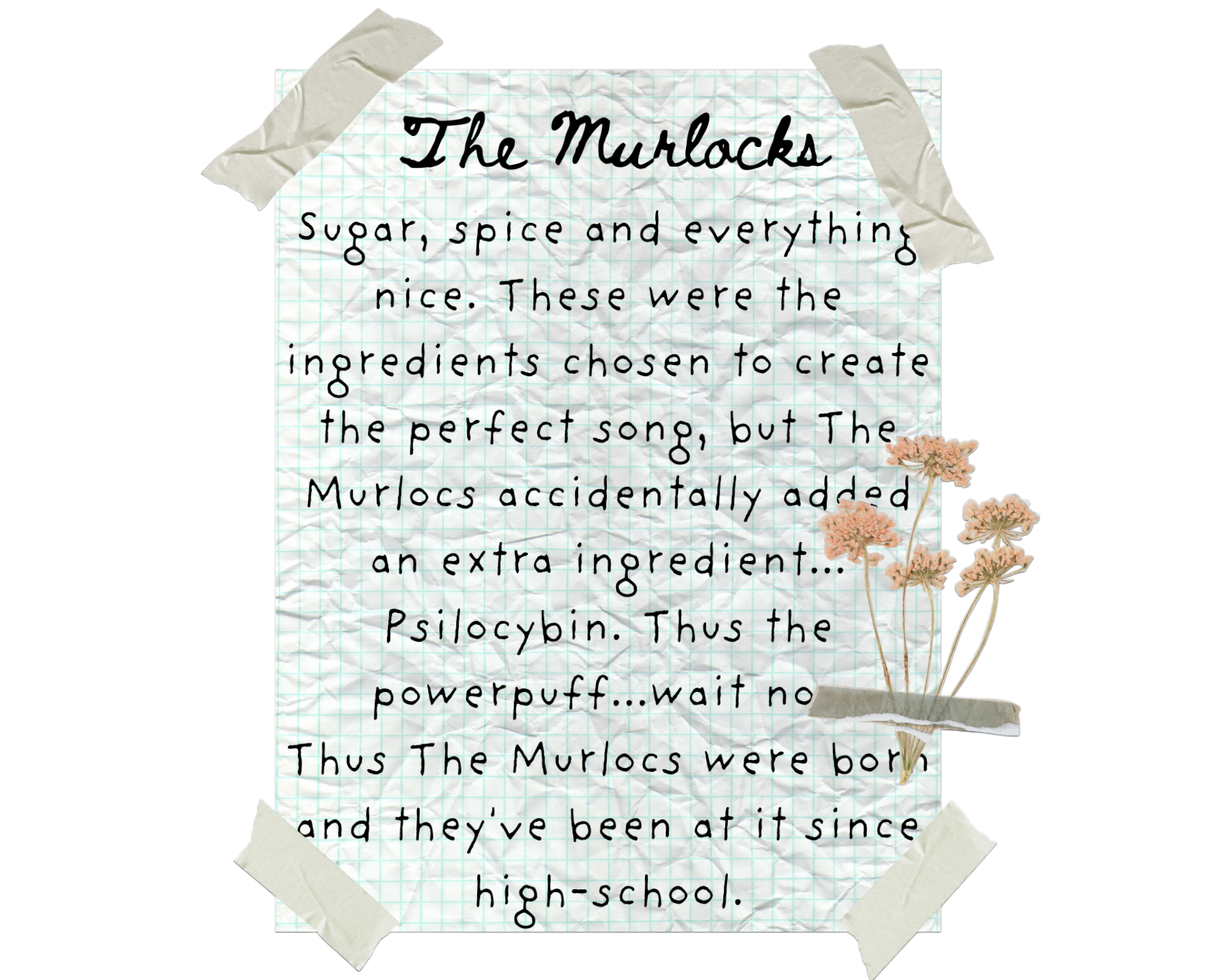 The Murlocs Description