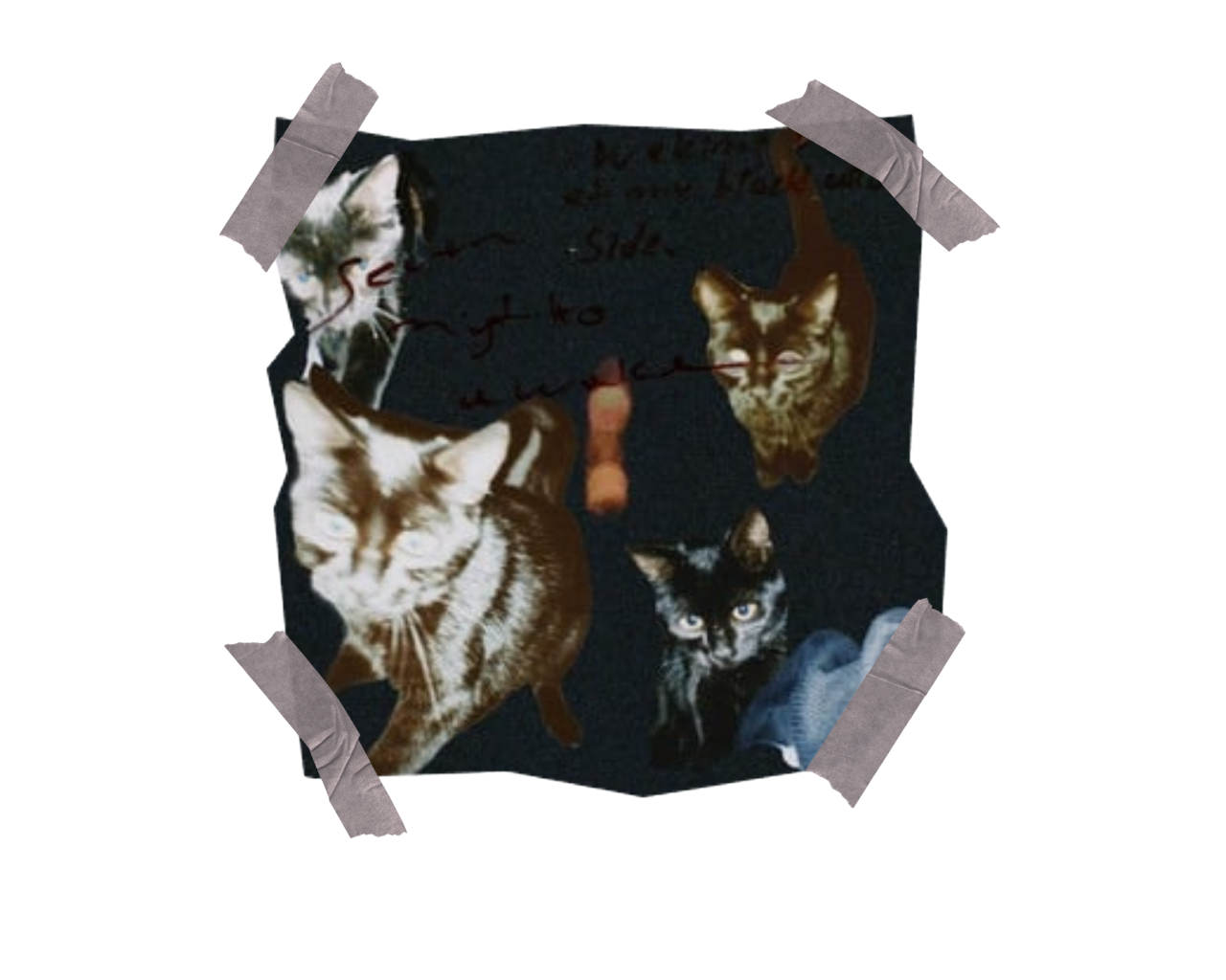 Artist Seven Nights Awake